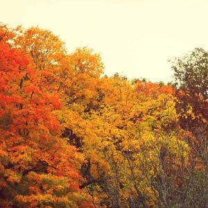 Meet your Posher, Amar